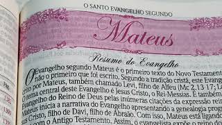 Mateus 8 evangelho [upl. by Flanagan192]