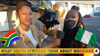 What South Africans think about Nigerians  South Africans discusses thoughts about Nigerians 🇳🇬 [upl. by Macrae]