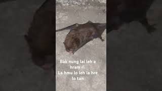 Bat live bat Bak nung lai leh a hram ri la hmu lo leh la hre ngai lo tan [upl. by Noned]