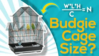 What is the Right Cages Size for Budgies EQUATION [upl. by Eignav631]