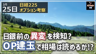 【日経225オプション考察】325 日銀前の異変を検知できた？ オプション建玉で相場は読めるのか [upl. by Wandy]