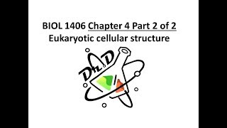 Chapter 4 part 2 of 2 Cell Structure [upl. by Adnolay14]