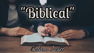 quotBiblicalquot by Calum Scott Sign LanguageOC [upl. by Fritzie]