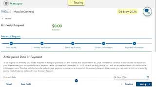 How to Complete an Amnesty Request with an Amnesty Eligibility Letter ID [upl. by Annissa718]