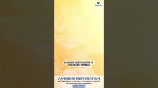 Got Mold Heres How Ameridri Restoration Saves You from Hidden Dangers shorts moldremediation [upl. by Ahtael]