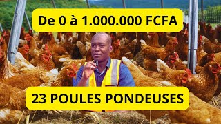 De 0 à 1 000 000 avec 23 POULES PONDEUSES Seulement INCROYABLE mais VRAI [upl. by Enyaht833]