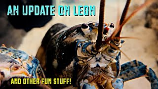 An Update On Leon [upl. by Tallbott]