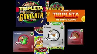 pronosticos del 10 de octubre del 2024 lotto activo granjita guacharo y la tripleta ganadora [upl. by Amarillis]