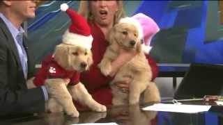 Santa Buddies As Seen On Fox 31 [upl. by Theurich297]