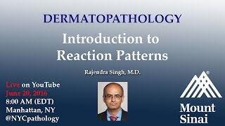 Dermatopathology Introduction to Reaction Patterns w Dr Singh [upl. by Herman]