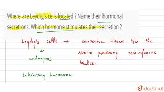 Where are Leydigs cells located  Name their hormonal secretions Which hormone stimulates thei [upl. by Nivlek745]