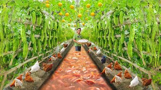 Genius Techniques for Raising Chickens and Growing Organic Vegetables Harvesting Fresh Bitter melon [upl. by Nal]