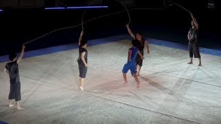 Imageflip for male rhythmic gymnasts [upl. by Jard34]