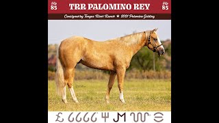 2024 Return to the Remuda Sale Hip 85 TRR Palomino Rey [upl. by Esinehs503]