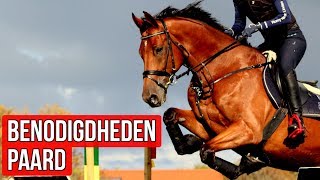 Benodigdheden paard  AllesOverEventing 2 [upl. by Schmitt]