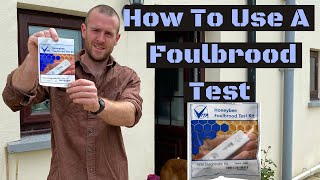 How To Use Vita Foulbrood Test Kit for American And European Foulbrood  AFB amp EFB [upl. by Halimeda]