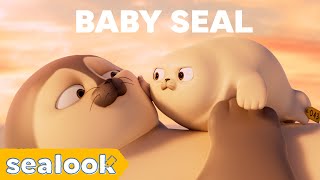 CUTENESS EXPLOSION  Baby Seal Special  SEALOOK  Episodes Compilation [upl. by Roee]