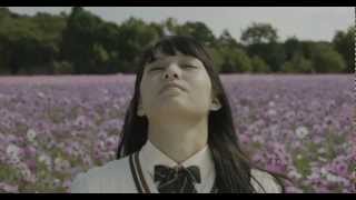 PMWF55 4K60p sample movie [upl. by Maxima]