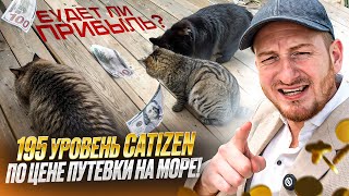 CATIZEN 195 уровень Будет ли прибыль Сколько стоит прокачаться Новинки Master League [upl. by Donelson]