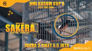 LAWAN BURUNG PAPAN ATASMURAI BATU SAKERA DEBUTAN ACONK SATE REBUT JUARA 3 TIKET 55JT UMI KASUM CUP [upl. by Ransom708]