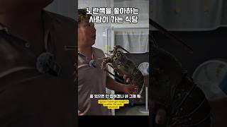 전국에 몆개 없는식당이 남해에 남해 맛집 랍스타 crayfish 먹방 [upl. by Dahsraf544]