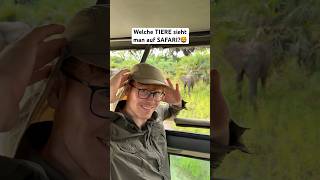 Welche TIERE sieht man auf SAFARI🦒🦁😱 jannikfreestyle safari [upl. by Burnight]