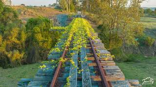 1 October 2023 Beaudesert Railway Bridge Clip [upl. by Diver]