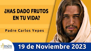 Evangelio De Hoy Domingo 19 Noviembre 2023 l Padre Carlos Yepes l Biblia l Mateo 25113 l Católica [upl. by Arquit527]