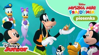 🕺🏽 PIOSENKA Bąbelkowy taniec  Myszka Miki Frajdomek  Disney Junior Polska [upl. by Jocko]