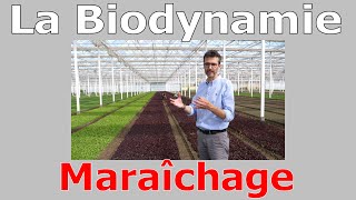 La Biodynamie  Maraîchage [upl. by Furtek]