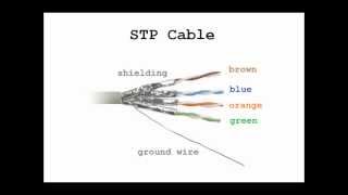 UTP vs STP [upl. by Cornelius]