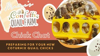 Preparing for your NEW Coturnix Quail chicks Maines Confetti Quail Farm [upl. by Sito920]