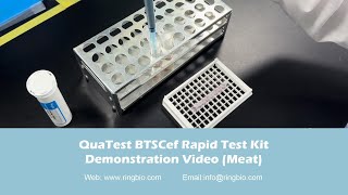 Ringbio Meat Antibiotic Residue Test Kit  QuaTest BTSCef Rapid Test Kit [upl. by Ashby]