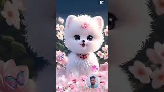 🥀🥀Cute cat llfunny llsong llvideo 🥀🥀 [upl. by Eniretac487]