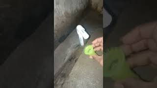 Water pipe connector pipeplumbershortvideo [upl. by Charlot695]