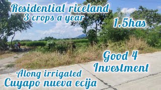 lot335 Residential riceland along irrigation 15has 2M seller price cuyapo nueva ecijs [upl. by Craggie]