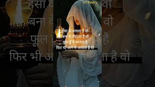 Phool shortvideo sadpoetry sadshayari viral2024 hindishayari [upl. by Link]