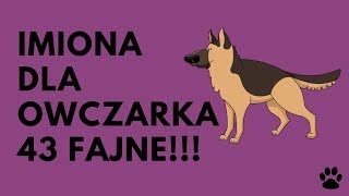 Imiona Dla Owczarka Niemieckiego 43 Fajne  Imionowo [upl. by Crabb583]