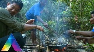 JEJAK PETUALANG 9 Des 2015  SERBA BESAR DR PAPUA 31 [upl. by Ahseiyt]