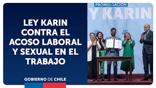 Promulgación de la Ley Karin contra el acoso laboral y sexual en el trabajo [upl. by Eelir]