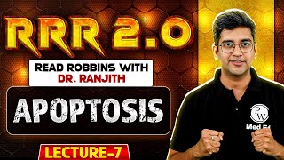 Apoptosis  Pathology  Read Robbins 20 With Dr Ranjith [upl. by Chretien]