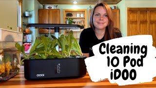 Cleaning The 10 Pod iDoo Hydroponics System  Lettuce 4 Week Update  EverCrest [upl. by Kinson]