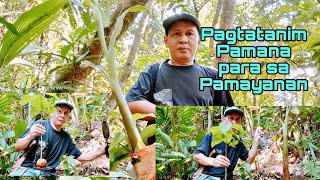 Pagtatanim Pamana para sa Pamayanan [upl. by Zere67]