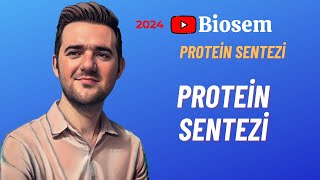 Protein Sentezi  Genden Proteine  Konu Anlatımı 12 Sınıf Biyoloji YKS 2024 [upl. by Gentilis]