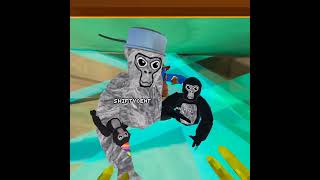 Finding Gorilla tag ghost [upl. by Ogdan890]