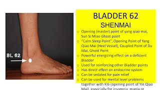 BLADDER 62 SHENMAI EXTENDING VESSEL EXTENDED MERIDIAN [upl. by Rokach]