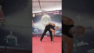 Regular yoga practice helps maintain a healthy weight amp spine strength yogashorts youtubeshorts [upl. by Vig]