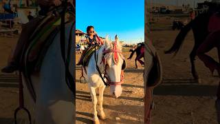 Horse video 🐎  horse horses ghoda cutebaby ytshorts viral trending shortsfeed ytvideo [upl. by Gnanmos691]