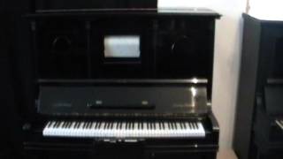 Grotrian Steinweg Hupfeld Solophonola [upl. by Evod]