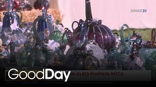 Handblown Glass Pumpkin Patch [upl. by Enyehc533]